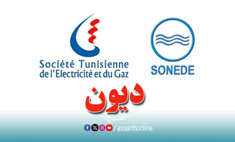 steg et sonede