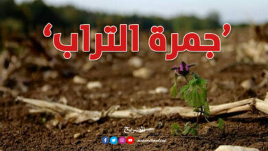 Jamret El Terab