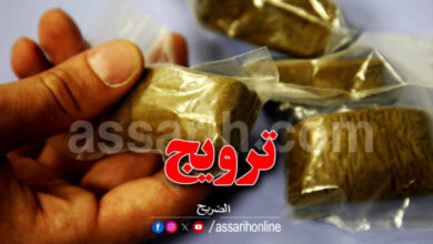drogue