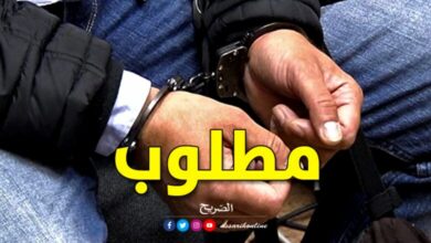 Arrestation-recherché = 780x470 (17)