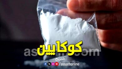 Cocaine saisie