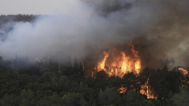 Incendies Al quods