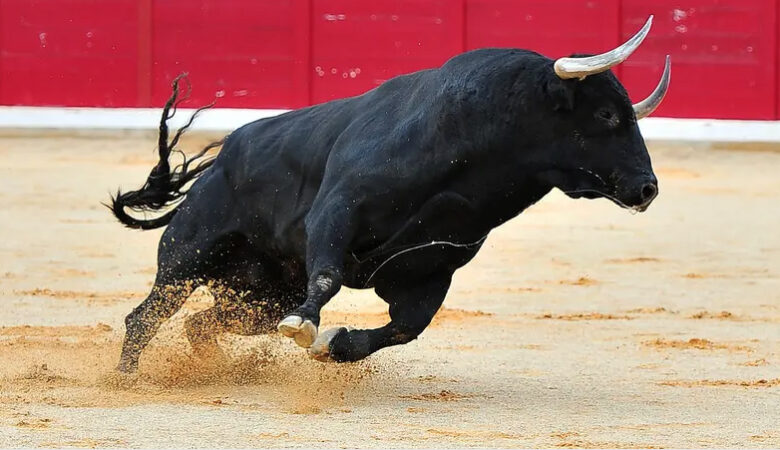 La tauromachie en Espagne