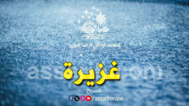 Pluie