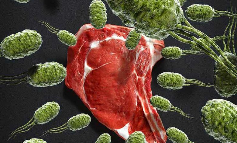 Viande-bacterie-Listeria-monocytogenes