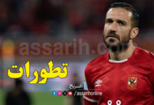 ali maaloul