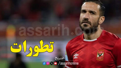 ali maaloul