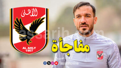 ali maaloul