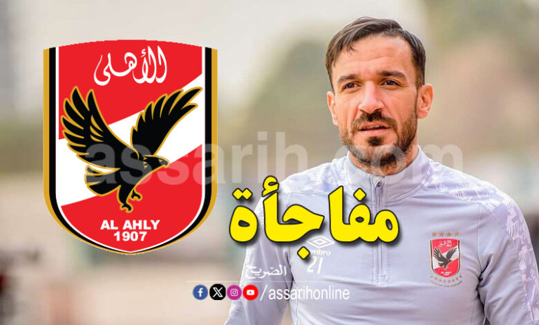 ali maaloul