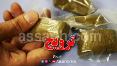drogue-16-780x470