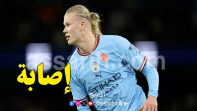 erling haaland