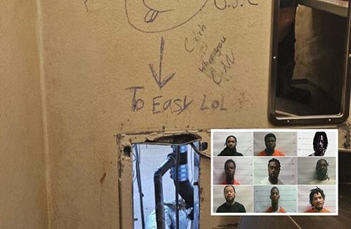 03 image BAS