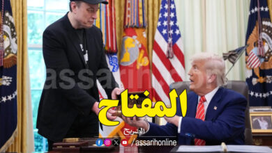 Donald Trump Elon Musk