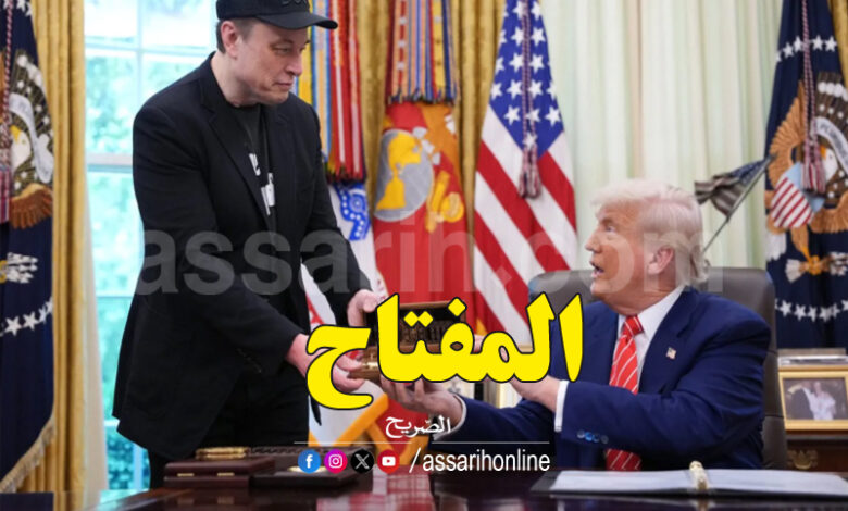 Donald Trump Elon Musk