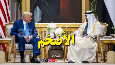 Donald Trump and Mohammed bin Zayed