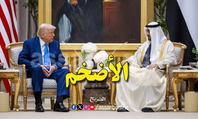 Donald Trump and Mohammed bin Zayed