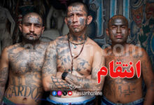 Gangs salvadoriens