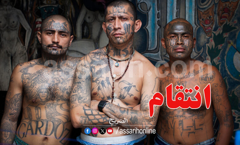 Gangs salvadoriens