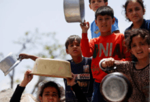 Gaza Food