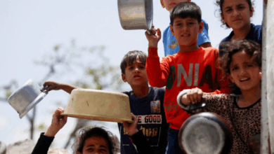 Gaza Food