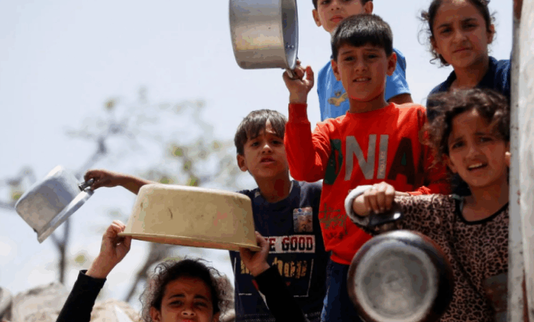 Gaza Food