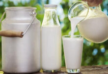 LAIT