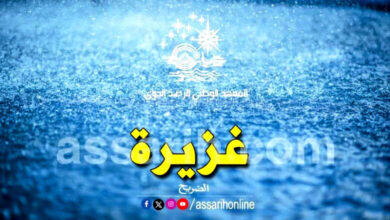 Pluies