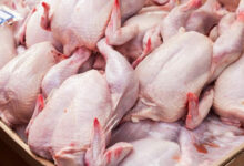 Viande-de-poulet-780x470