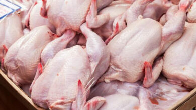 Viande-de-poulet-780x470