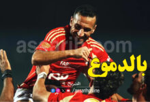 ali maaloul
