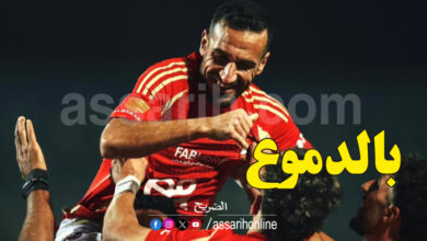 ali maaloul