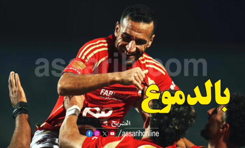 ali maaloul