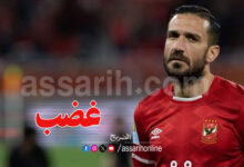 ali maaloul