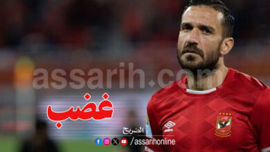 ali maaloul