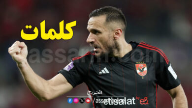 ali maaloul