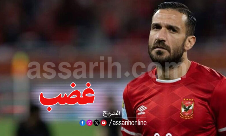 ali maaloul