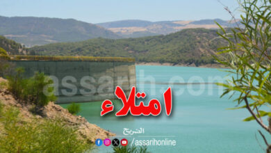 barage-tunisie-780x470