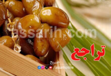 datte tunisienne