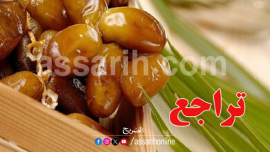 datte tunisienne