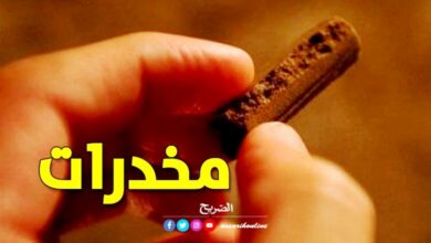 drogue-14