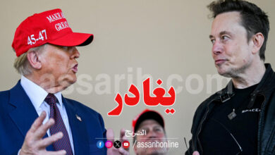 elon musk donald trump