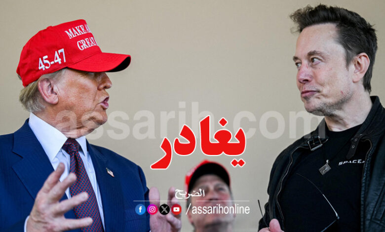 elon musk donald trump