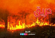 incendie foret