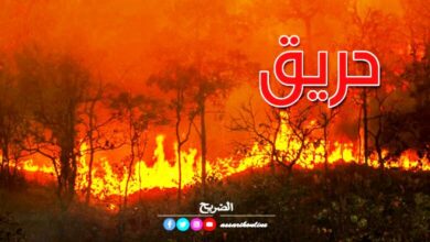 incendie foret