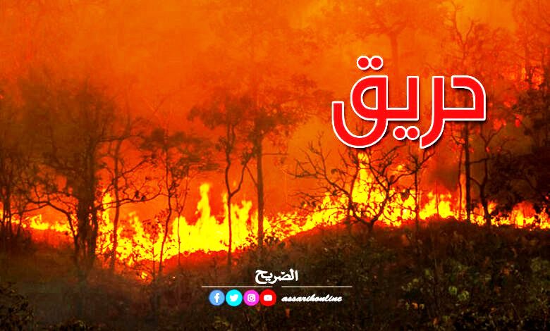 incendie foret