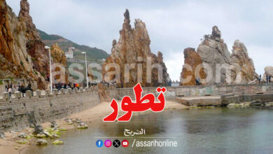 jandouba tunisie