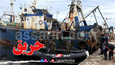 jarzouna tunisie