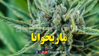 marijuana