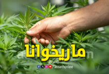 marijuana-780x470