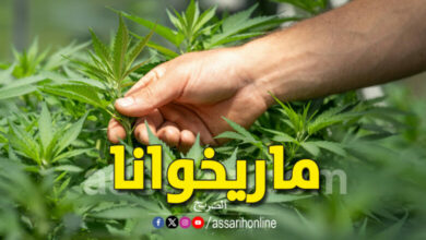 marijuana-780x470
